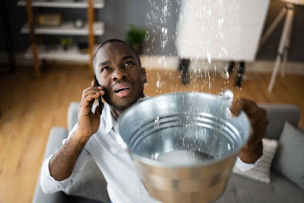 Best Local water damage restoration  in Helmetta, NJ
